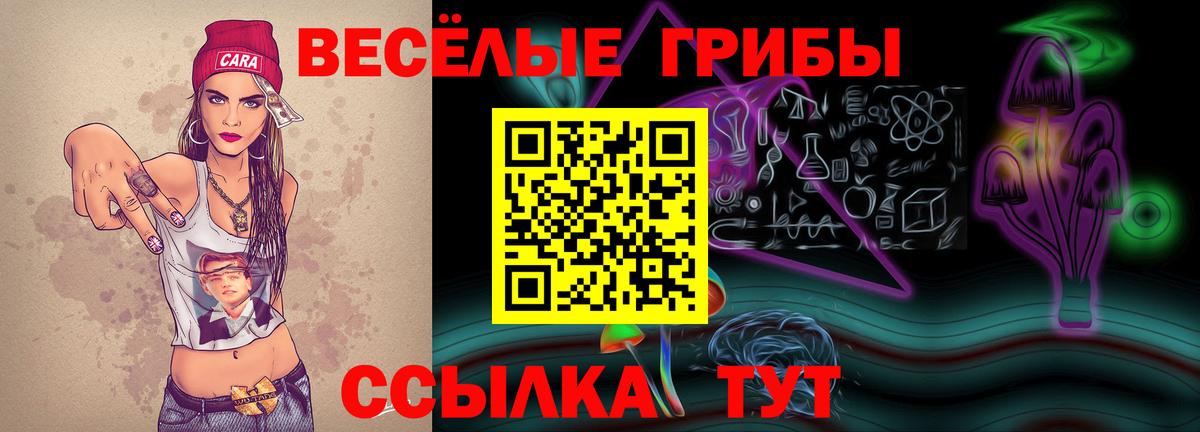 Псилоцибиновые грибы Psilocybine cubensis Урус-Мартан