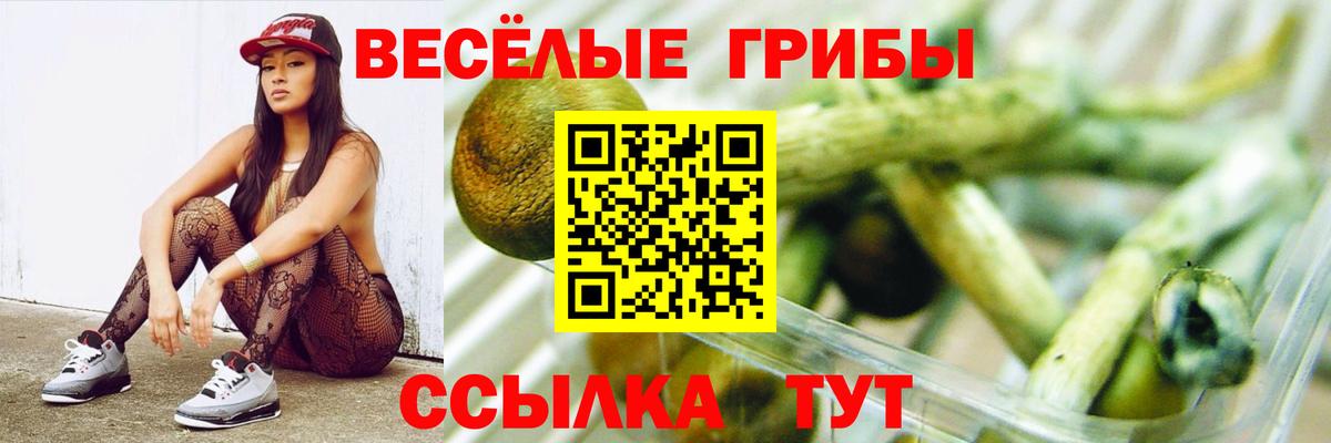 Галлюциногенные грибы ЛСД  Вход с VPN  Урус-Мартан  Галлюциногенные грибы ЛСД 